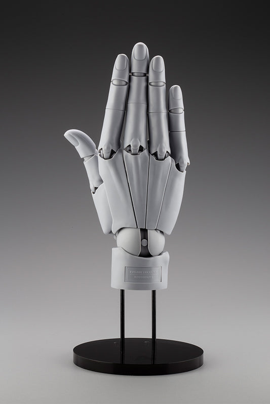 HAND MODEL/R -GREY- | ARTIST SUPPORT ITEM