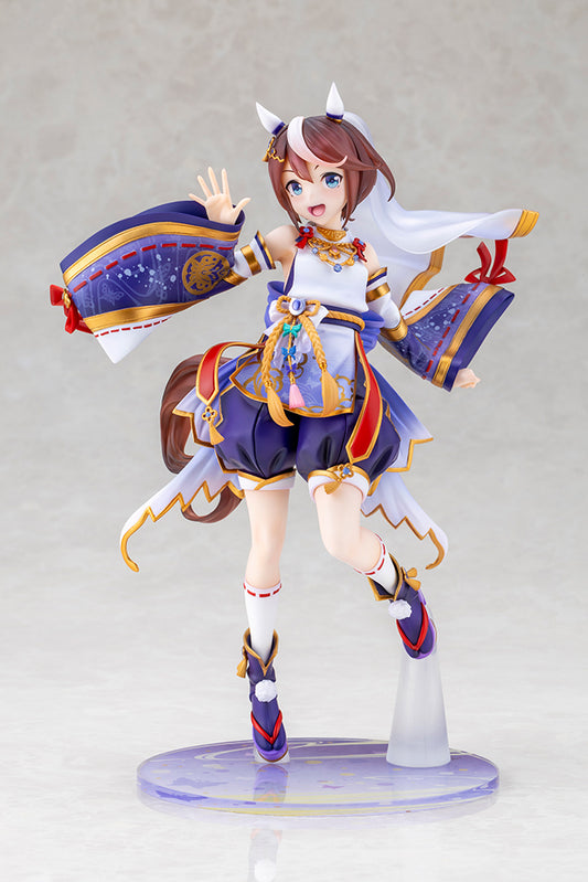 Shiun no Yumemitori Tokai Teio