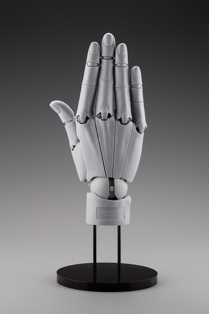 HAND MODEL/R -GREY- | ARTIST SUPPORT ITEM
