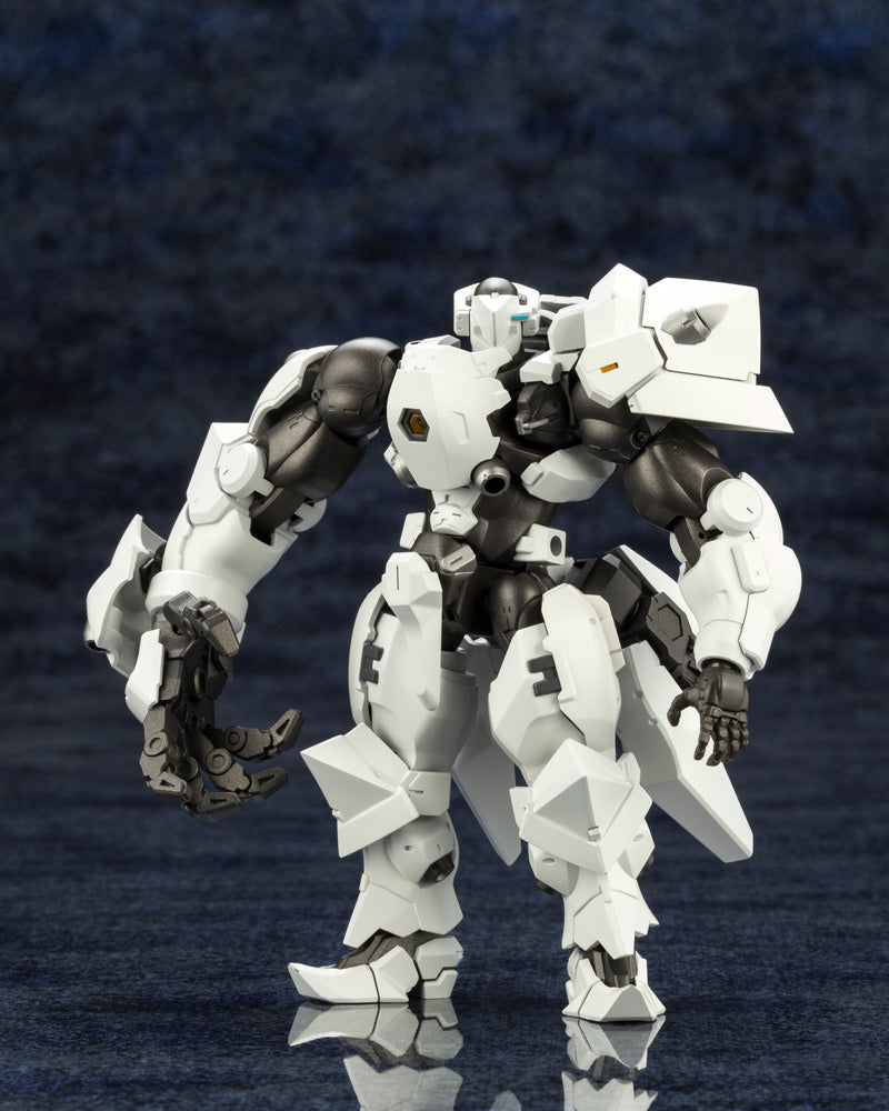HG079X GOVERNOR HEAVY ARMOR TYPE: ROOK
