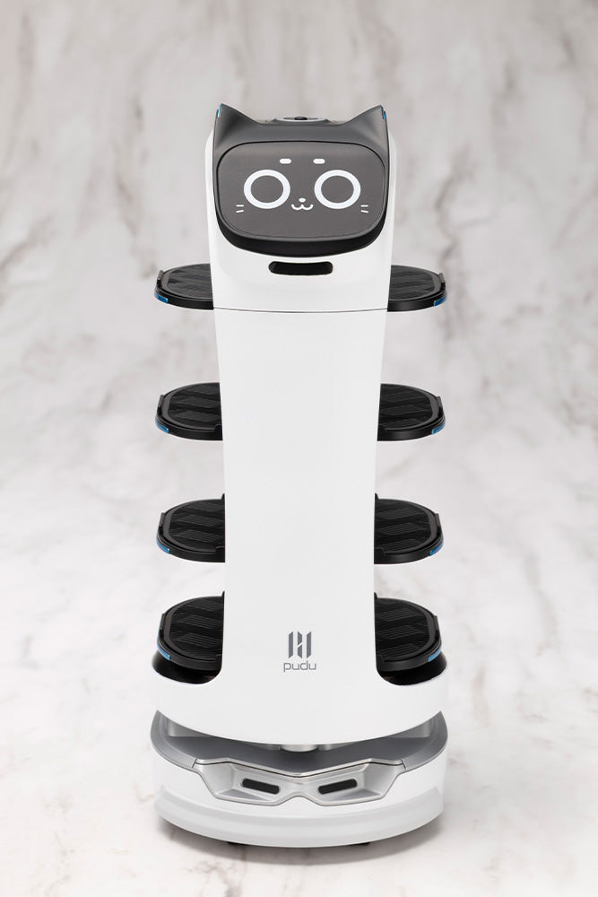 GRANDE SCALE BellaBot