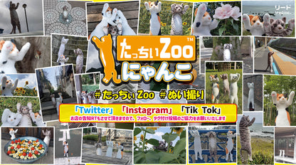 Ayaka Ohashi MIRA Collaboration | Standing ZOO Cat - Tacchii Zoo Nyanko