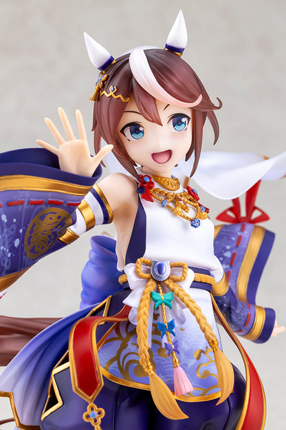 Shiun no Yumemitori Tokai Teio